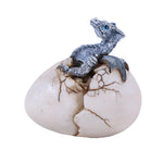 White dragon Hatching From an Egg